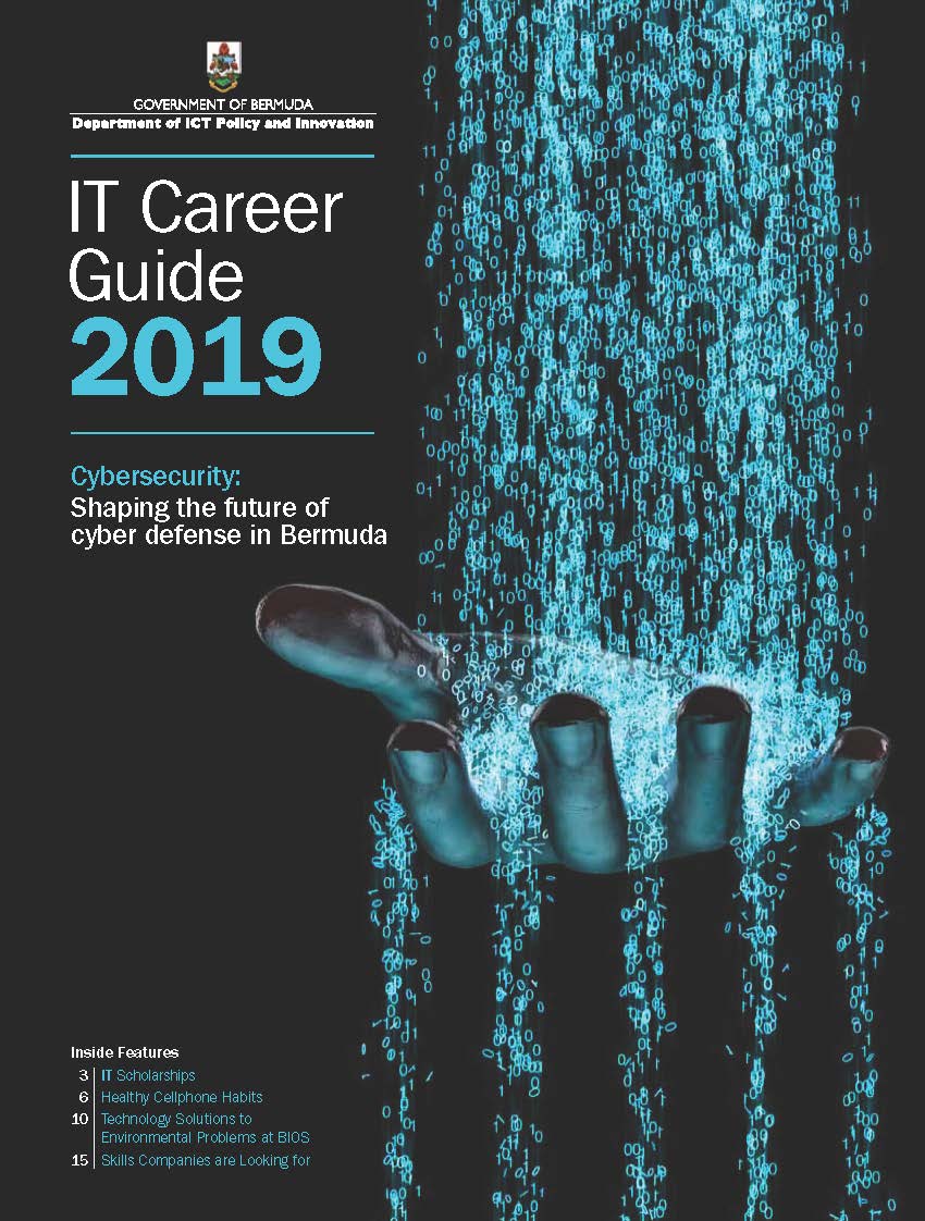 IT Career Guide 2019